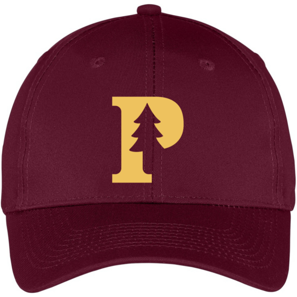 resize_products_202507310235171011.png Logo Hat - Image 1